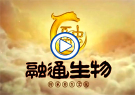 &#20061;&#28216;&#28216;&#25103;&#23448;&#32593;&#45;&#20061;&#28216;&#65288;&#20013;&#22269;&#65289;